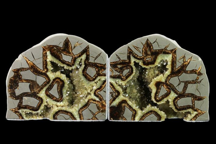 Wide, Crystal Filled Septarian Geode Bookends - Utah #160166